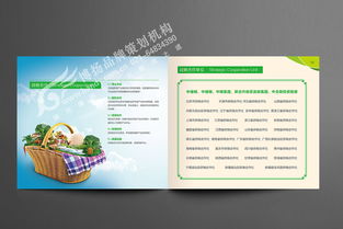 产品宣传画册设计 企业产品画册设计 企业形象画册设计 农产品画册 工业产品画册 上海画册设计公司