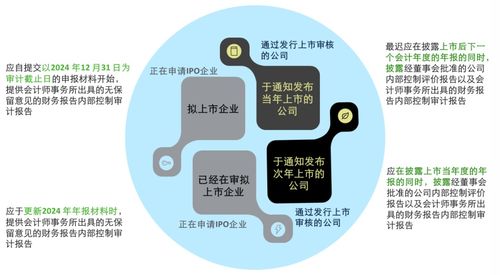 德勤 关于强化上市公司及拟上市企业内部控制建设 推进内部控制评价和审计的通知 要点解读